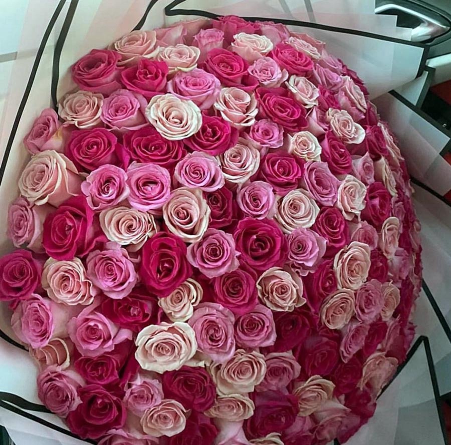 100 Premium Roses