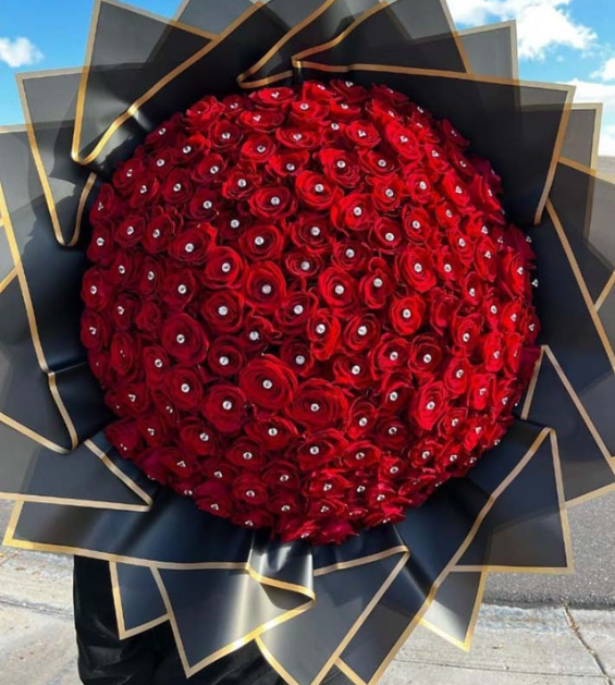 100 Red Roses Pinned